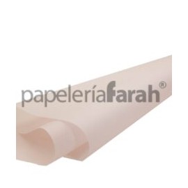 PAPEL CALCA 61X91cm 90-95 gr 1 PLIEGO