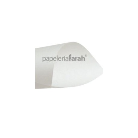 PAPEL MANTEQUILLA 61X91cm DELGADO 1 PLIEGO