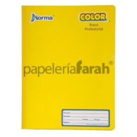 CUADERNO PROFESIONAL COSIDO RAYAS COLOR 360 581280 NORMA 100 HOJAS